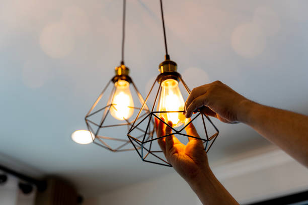 Best Electrician Near Me  in Warrenvle, IL