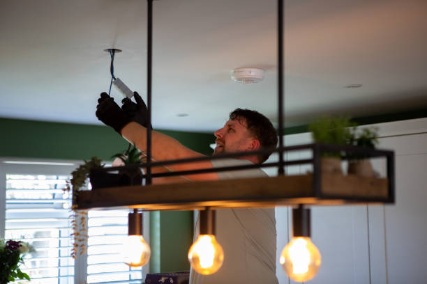 Best Generator Installation Services  in Warrenvle, IL